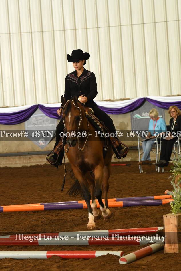 Proof 18YN_00828