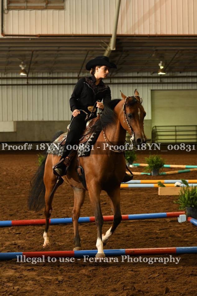 Proof 18YN_00831