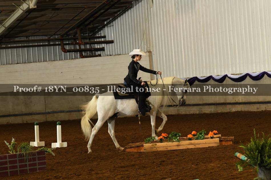 Proof 18YN_00835
