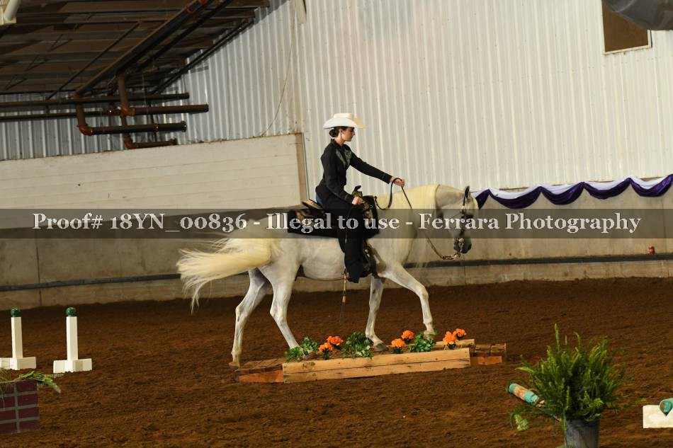 Proof 18YN_00836
