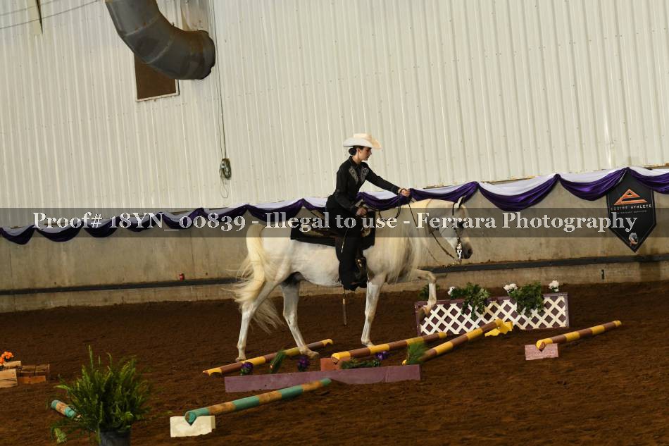 Proof 18YN_00839