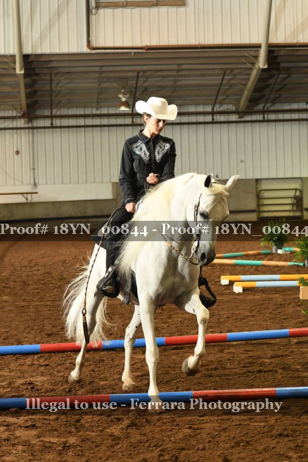 Proof 18YN_00844