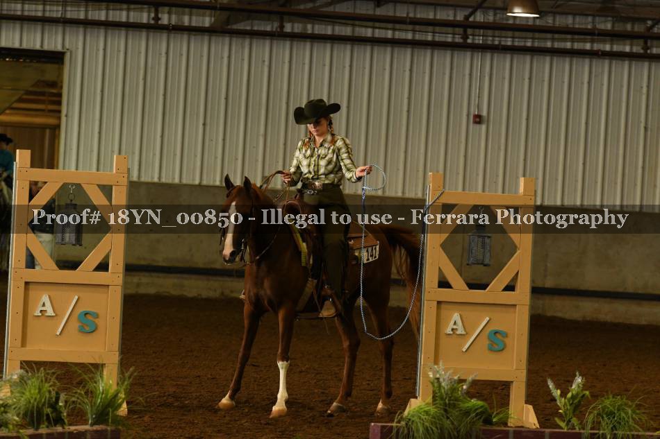 Proof 18YN_00850