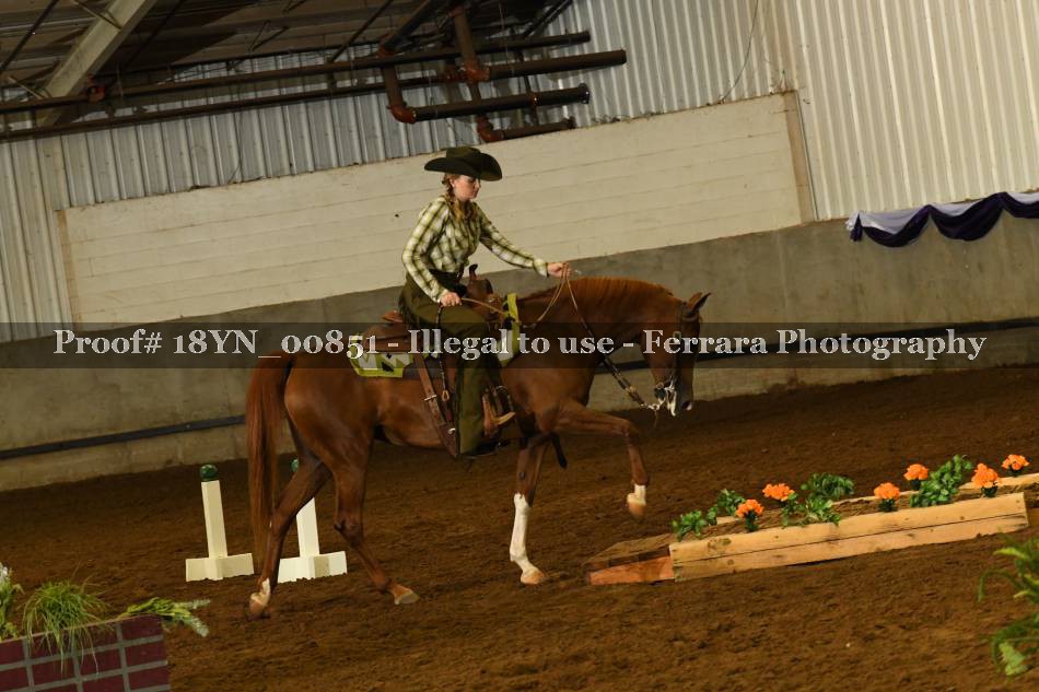 Proof 18YN_00851