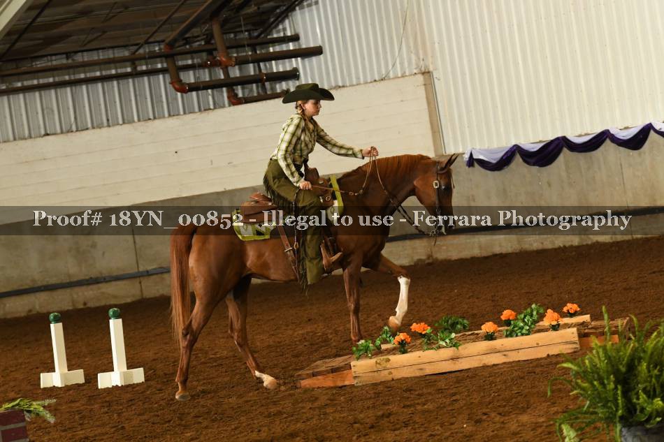 Proof 18YN_00852