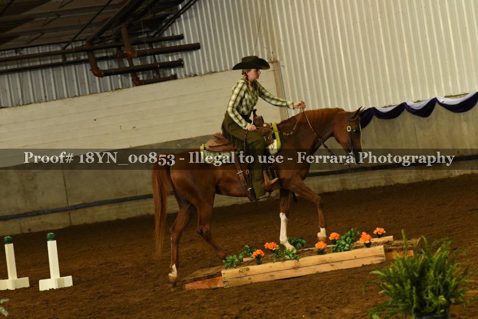 Proof 18YN_00853