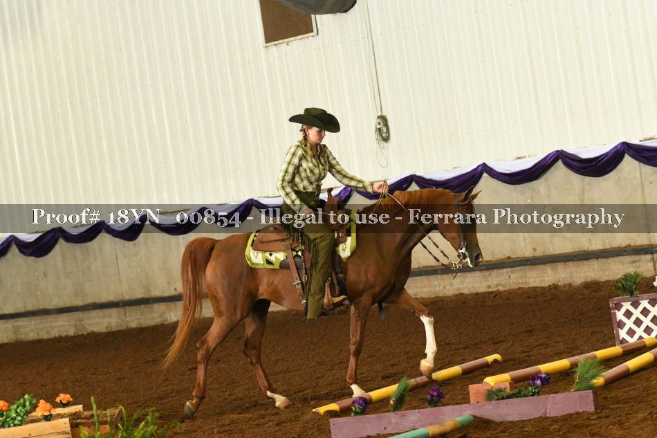 Proof 18YN_00854