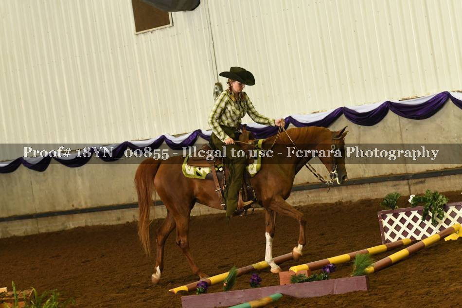 Proof 18YN_00855