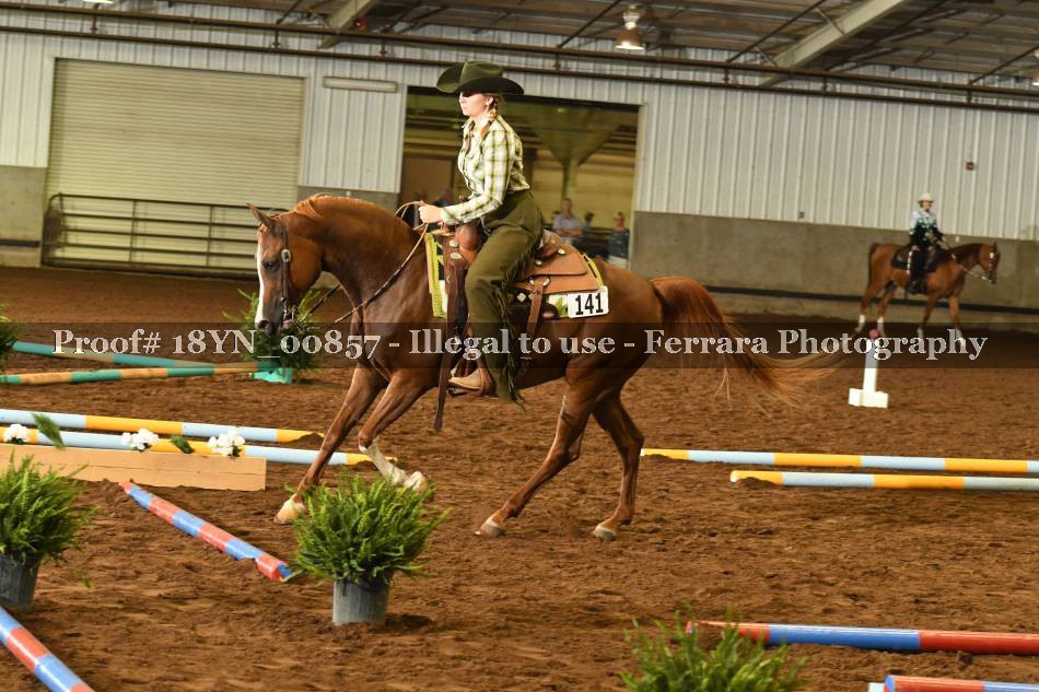 Proof 18YN_00857