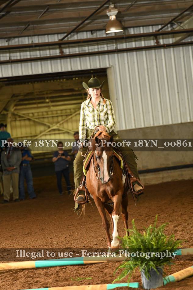 Proof 18YN_00861
