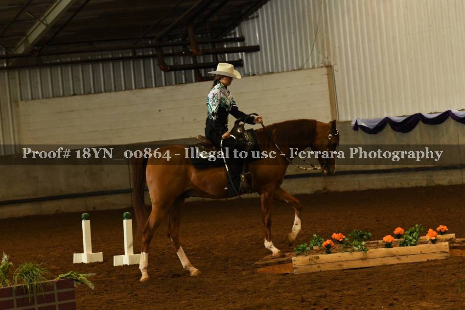 Proof 18YN_00864