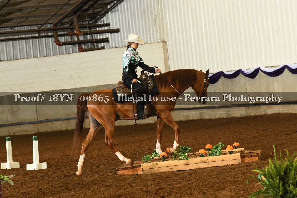 Proof 18YN_00865