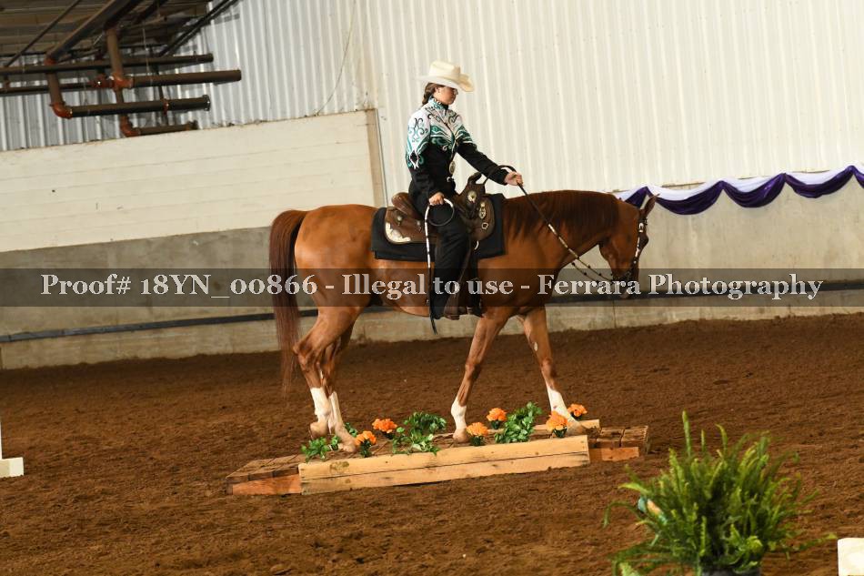 Proof 18YN_00866
