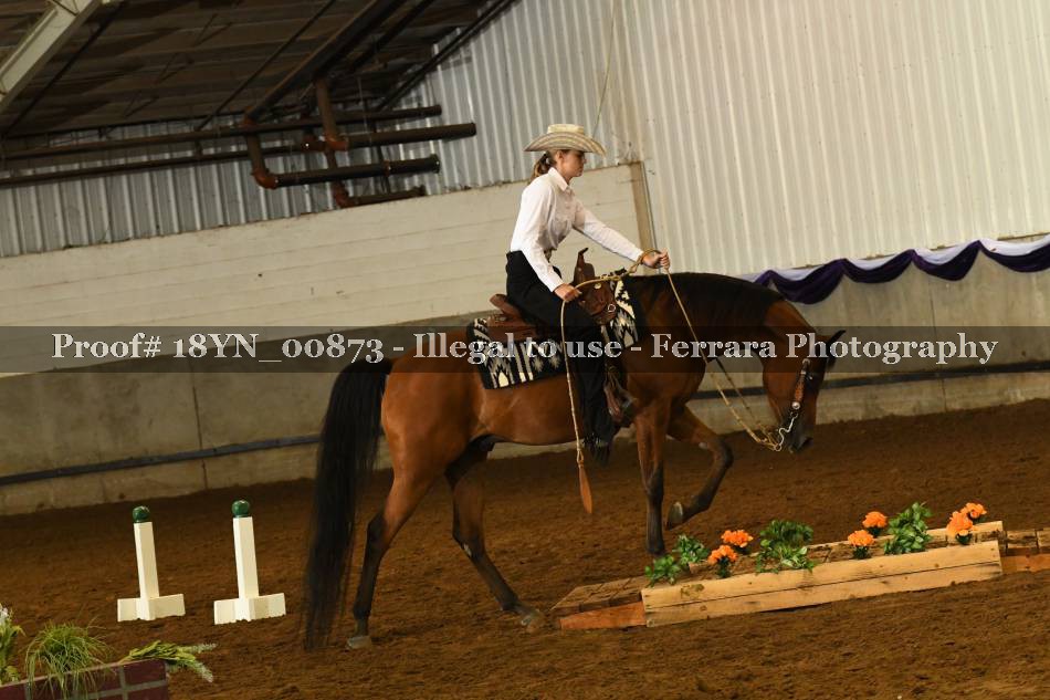 Proof 18YN_00873