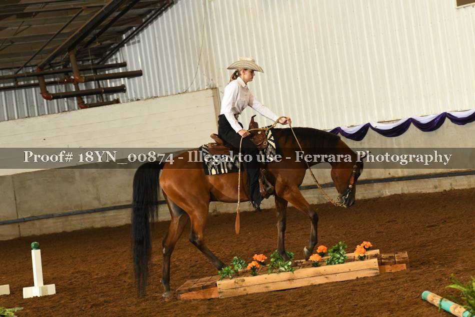 Proof 18YN_00874