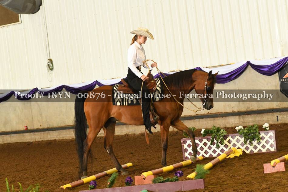 Proof 18YN_00876