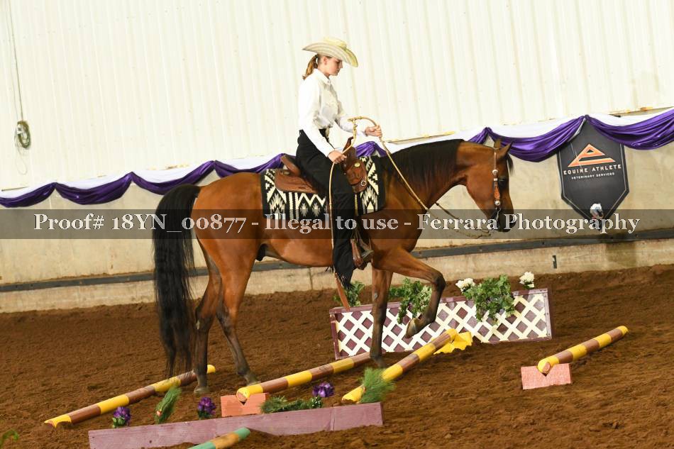 Proof 18YN_00877