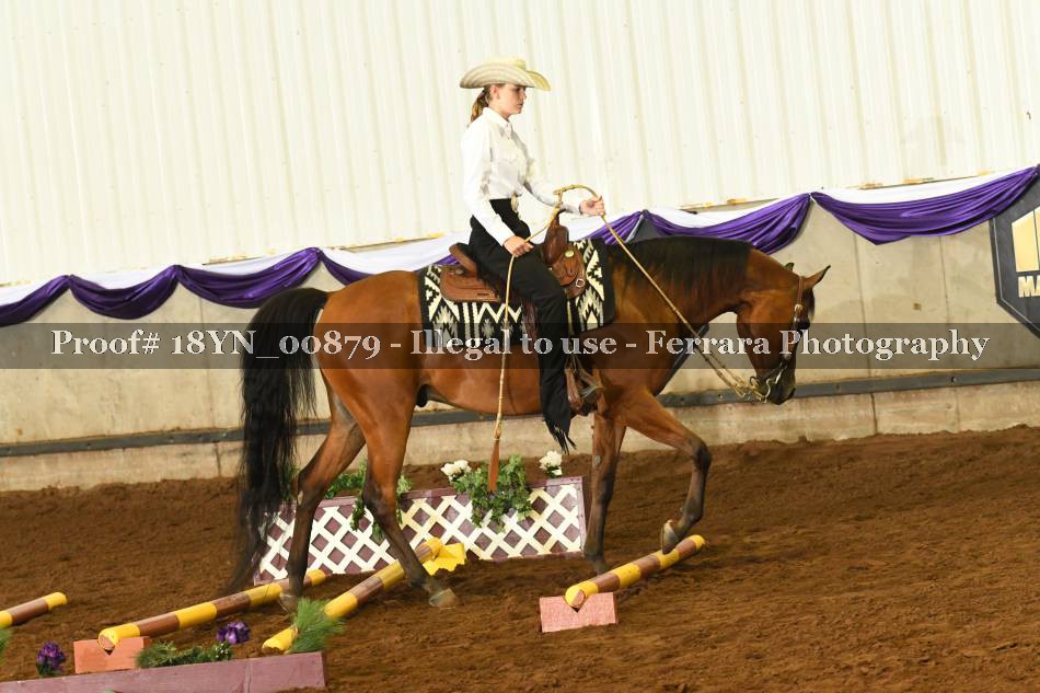 Proof 18YN_00879