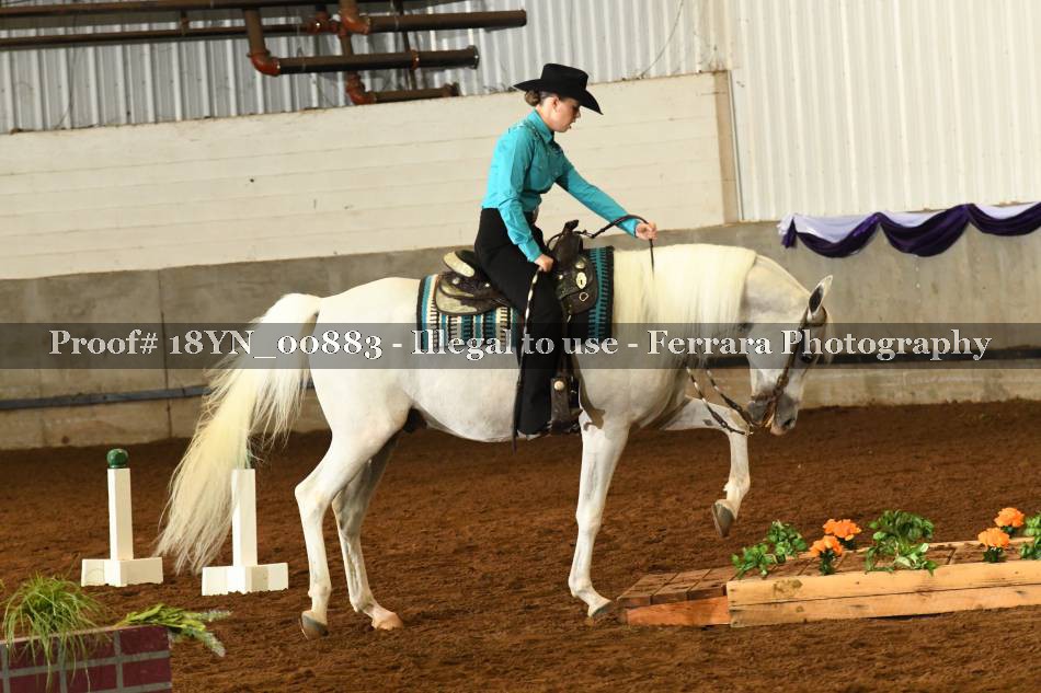 Proof 18YN_00883