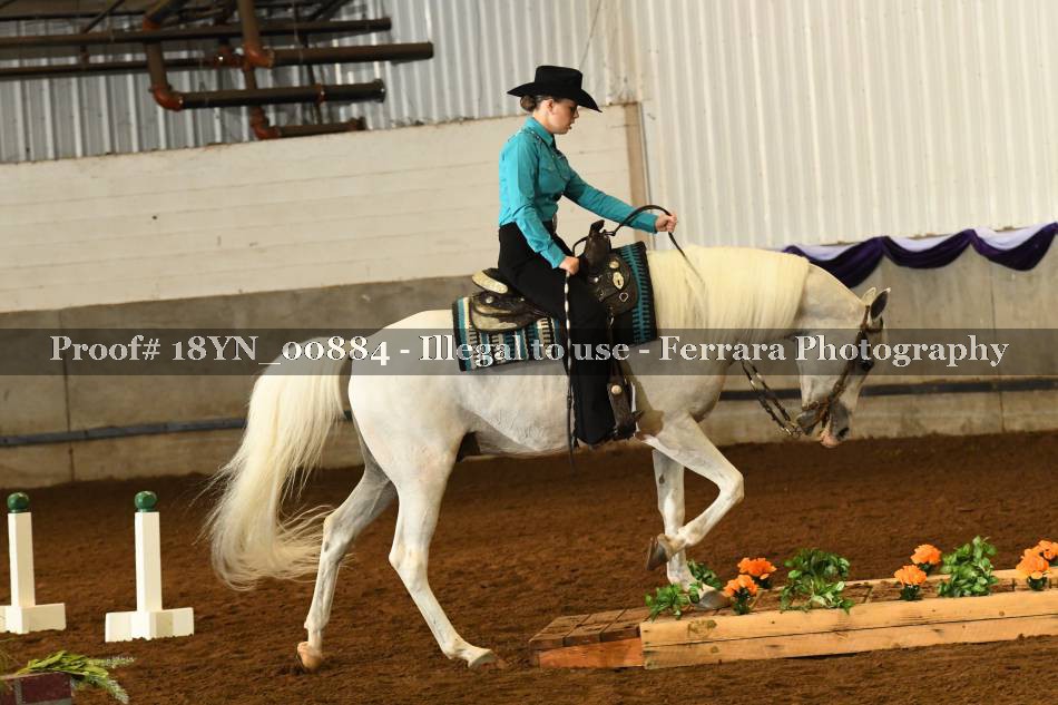 Proof 18YN_00884