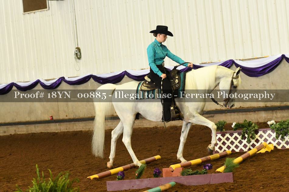 Proof 18YN_00885