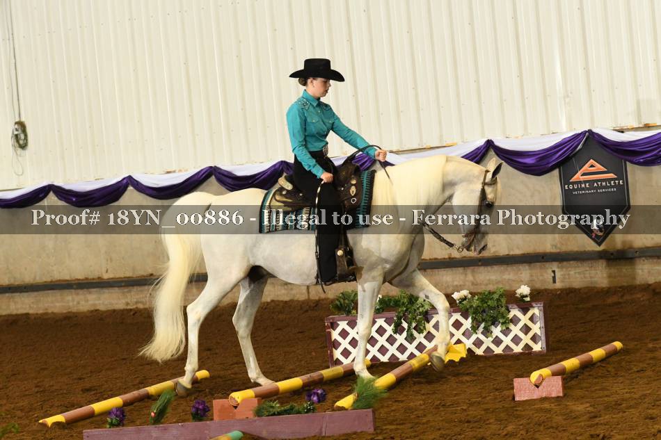 Proof 18YN_00886