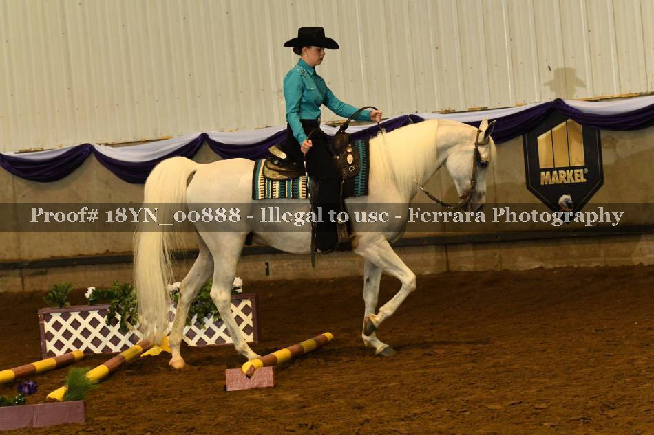Proof 18YN_00888