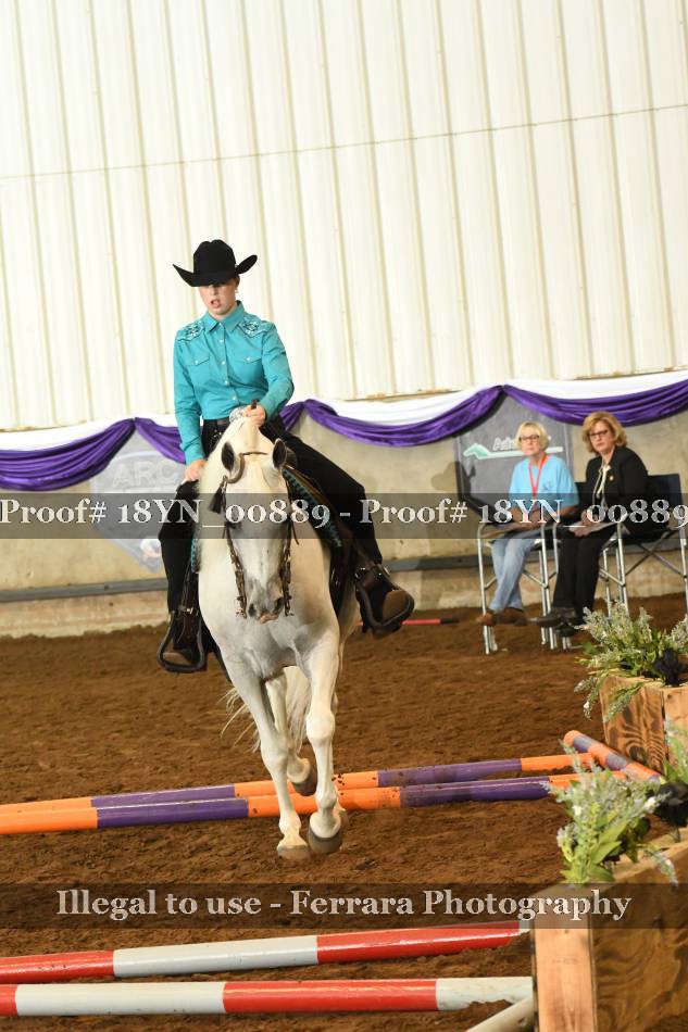 Proof 18YN_00889