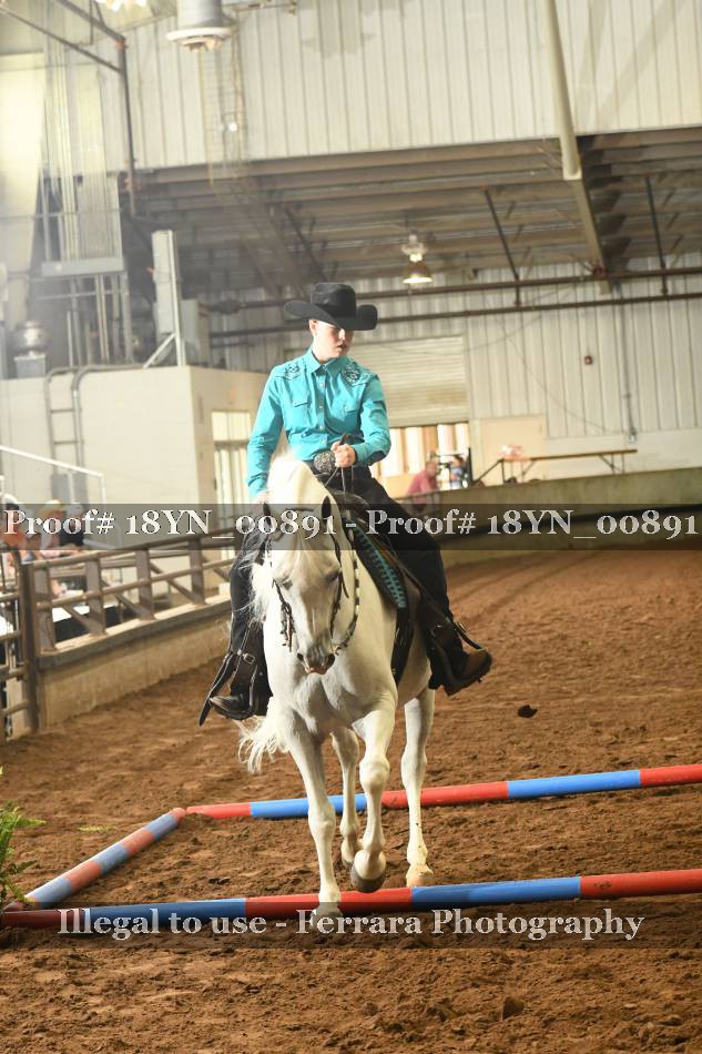 Proof 18YN_00891