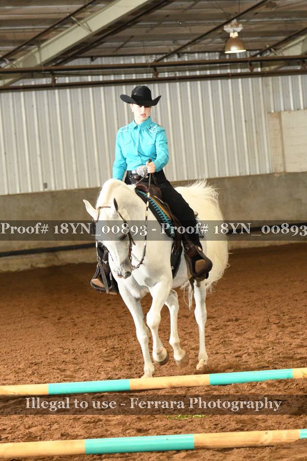 Proof 18YN_00893