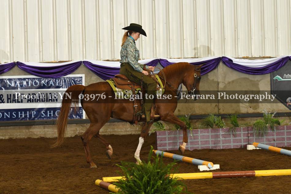 Proof 18YN_03976