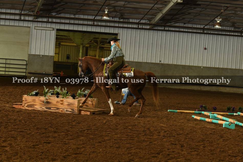 Proof 18YN_03978