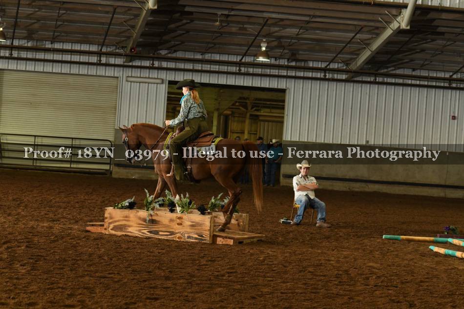Proof 18YN_03979