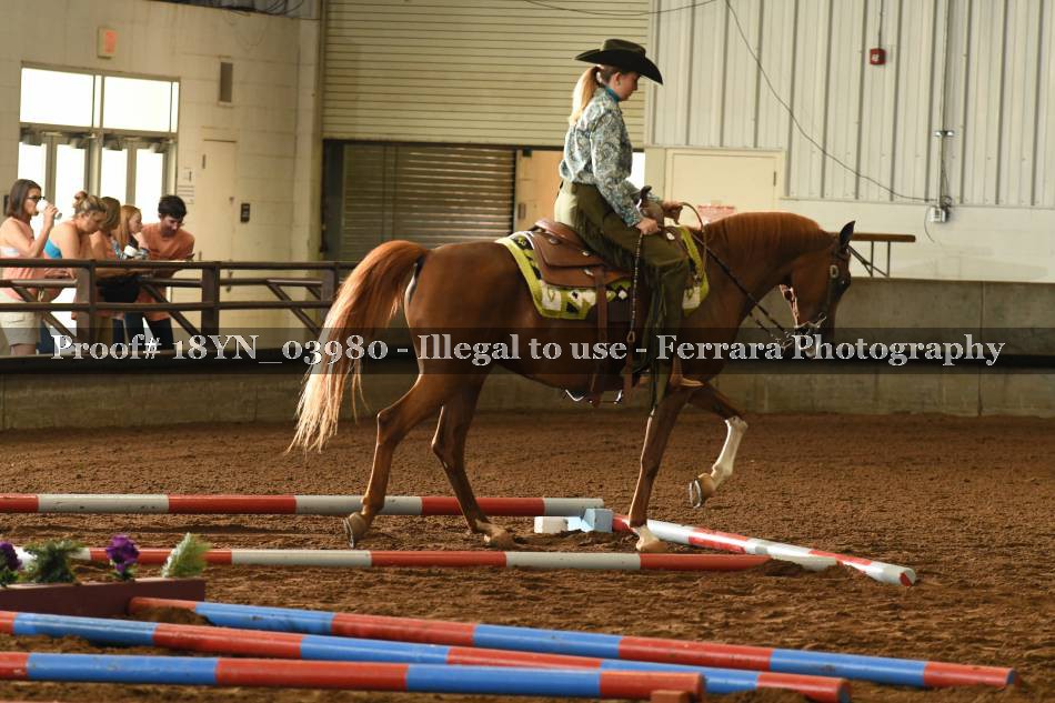 Proof 18YN_03980