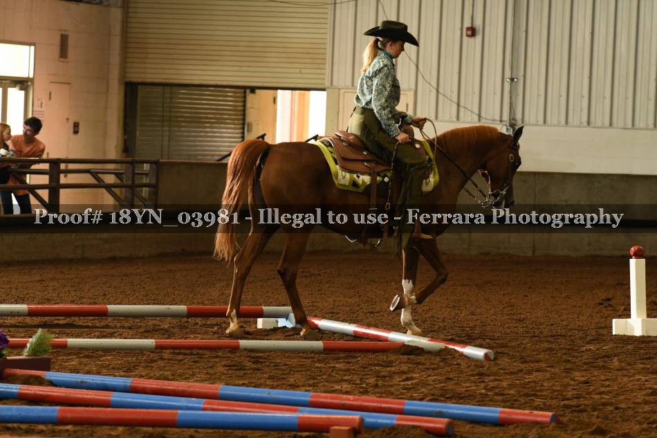 Proof 18YN_03981