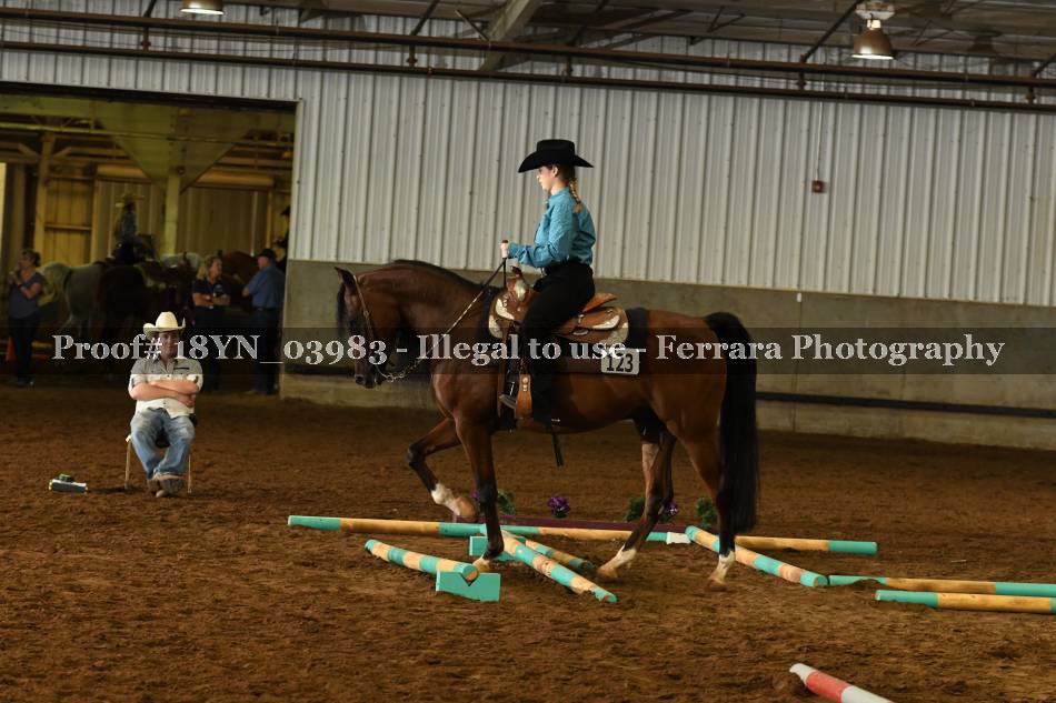 Proof 18YN_03983