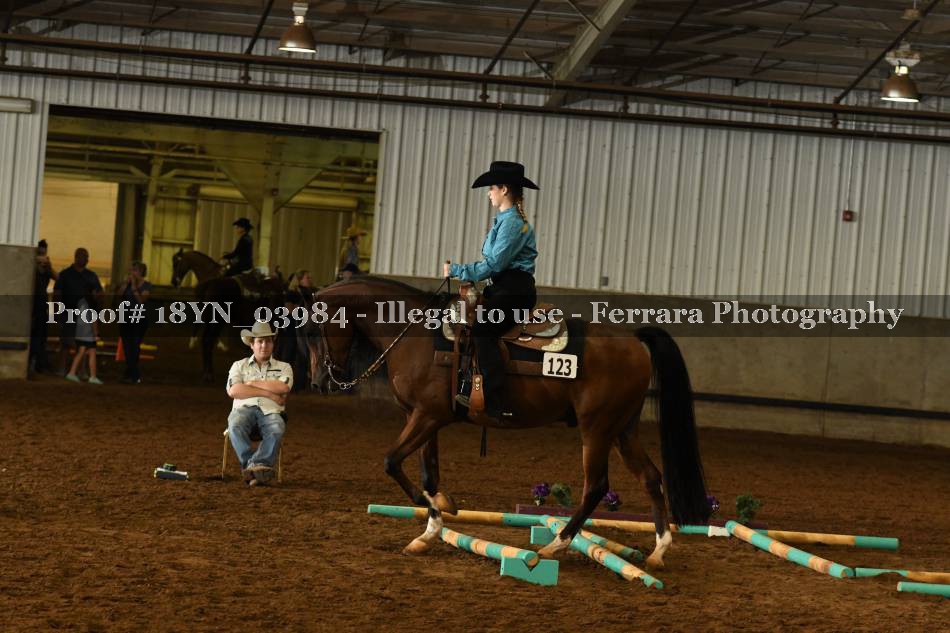 Proof 18YN_03984