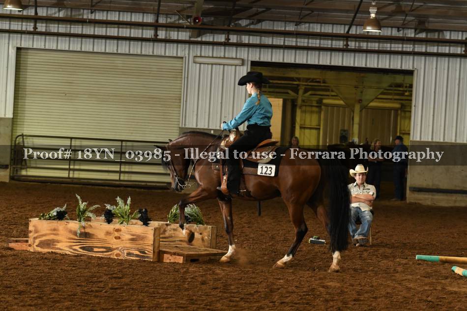 Proof 18YN_03985