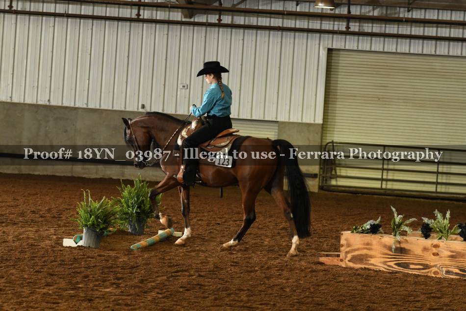 Proof 18YN_03987