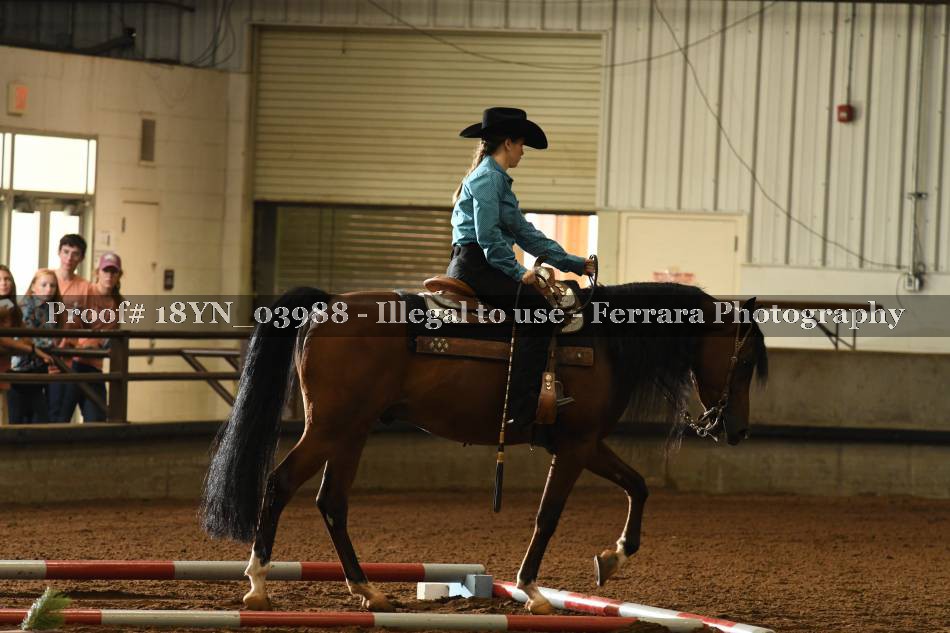 Proof 18YN_03988