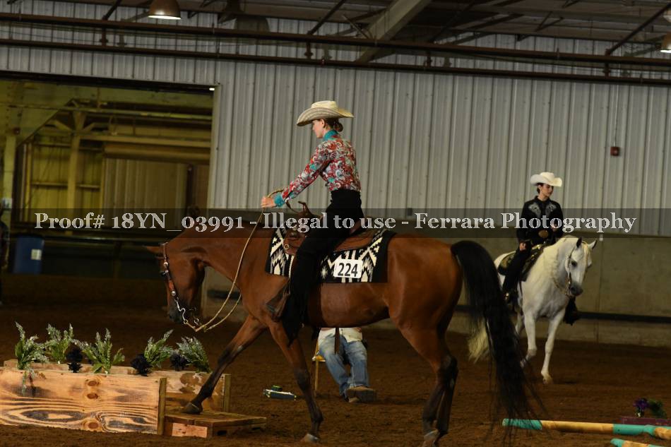 Proof 18YN_03991