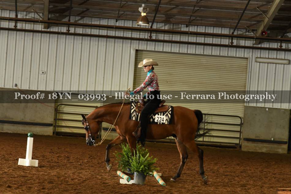 Proof 18YN_03993
