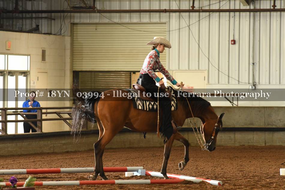 Proof 18YN_03994