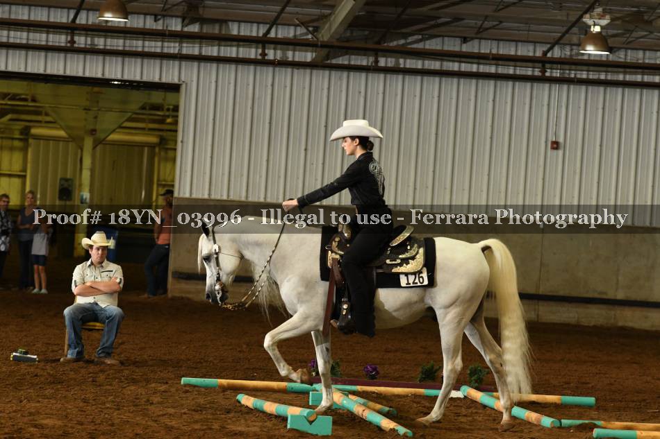 Proof 18YN_03996