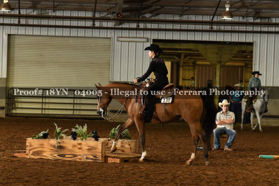 Proof 18YN_04005