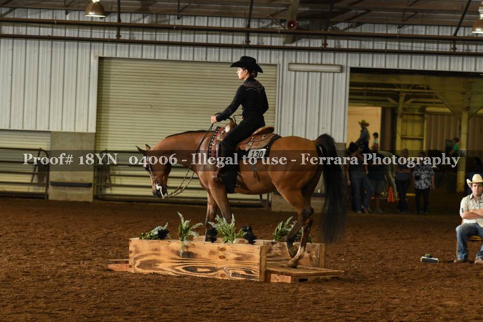 Proof 18YN_04006