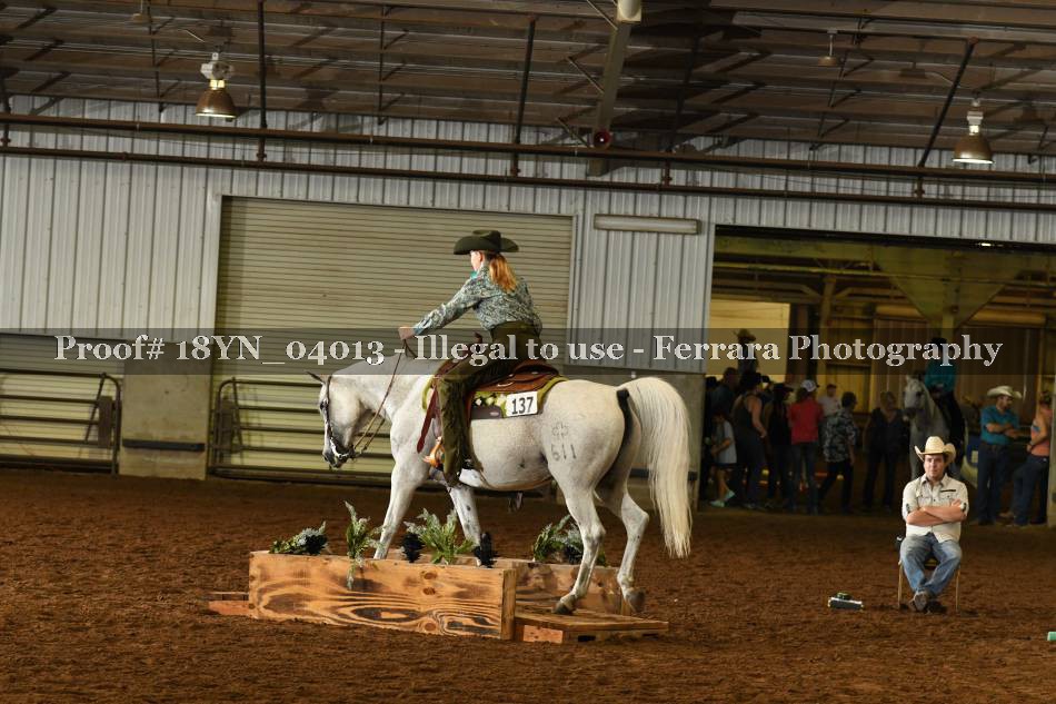 Proof 18YN_04013