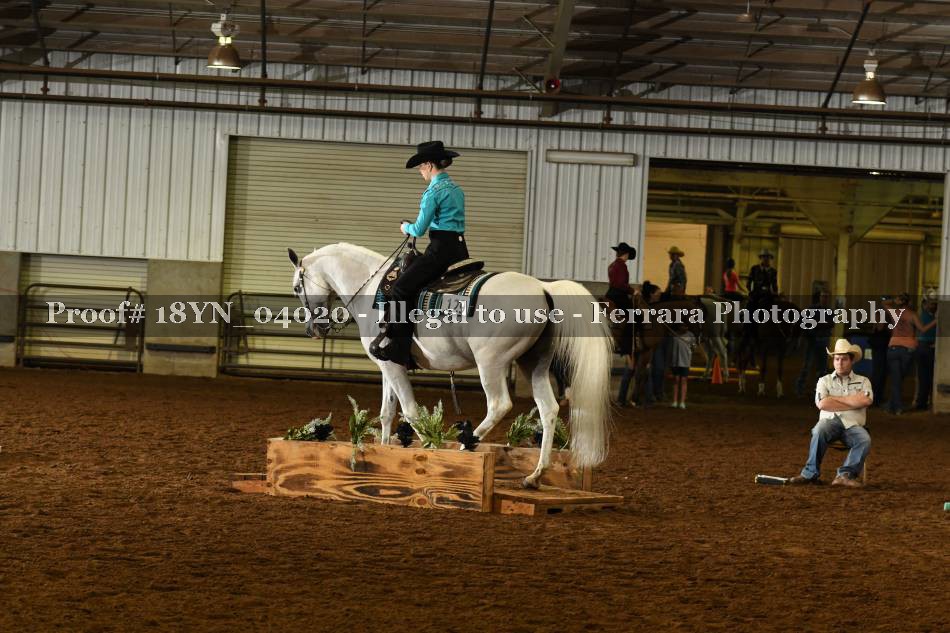 Proof 18YN_04020