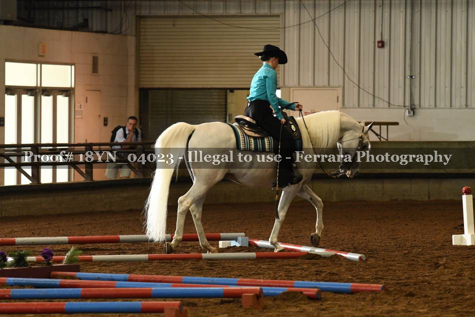 Proof 18YN_04023