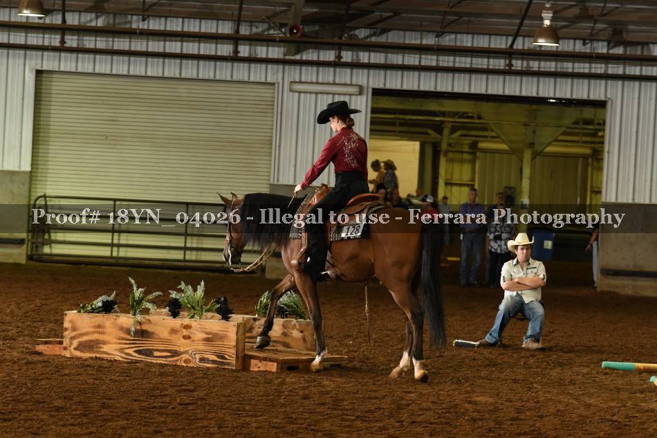 Proof 18YN_04026
